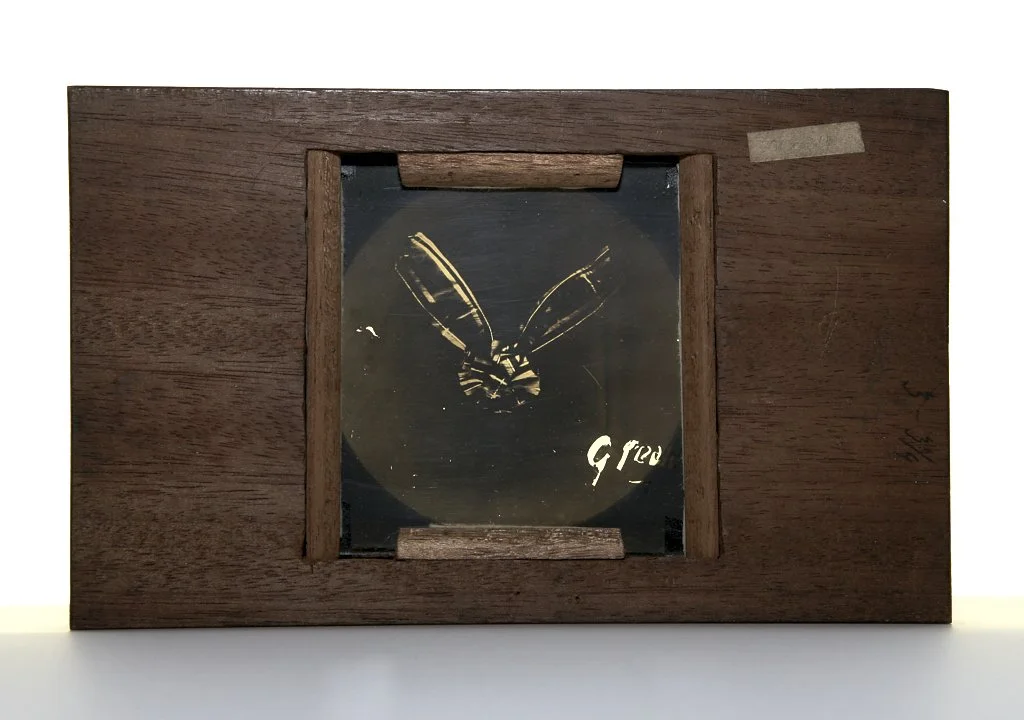 Sutton's green-filter lantern slide of a tartan ribbon, in a wooden frame
