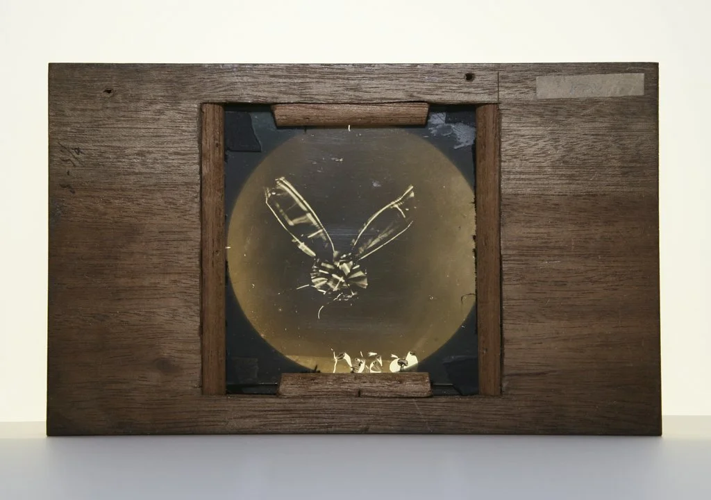 Sutton's red-filter lantern slide of a tartan ribbon, in a wooden frame