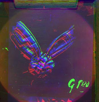 Unaligned overlay of Sutton's red, green, and blue lantern slides