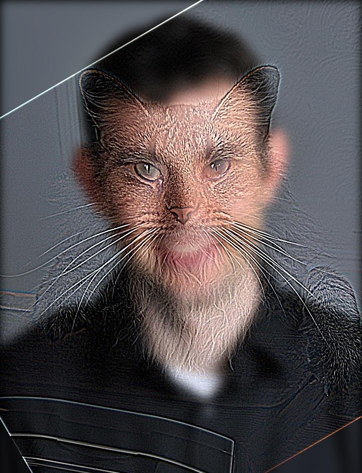 Hybrid of nutmeg and derek