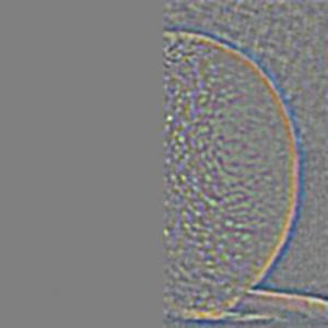 Oraple level 2, right orange contribution